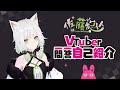 【自己紹介】(社長が乱入した)Vtuber一問一答自己紹介【佐藤ホワイト】