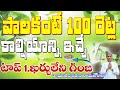 పాలకంటే 15రెట్లు ఎక్కువ కాల్షియం ఉన్న గింజలు మీకు తెలుసా? | Manthena Satyanarayana Raju