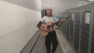 Vance County Animal Services Another Day In Paradise Acoustic Cover