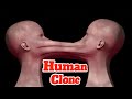 পৃথিবীর সেরা আবিষ্কার‌ 🤦‍♀️Human Cloning | What Is Cloning | How Human Cloning Works