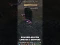 Lineage 2 PvP 1 vs ALL #lineage2 #elmorelab #l2 #л2
