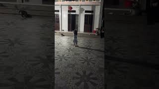 E gái a múa dẻo lắm #begai #dethuong #shortvideo