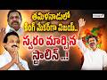 Vijay Become Tamil Nadu CM? Tamilnadu Exit Poll Predicts Big Win For TVK Party | Satyagrahi TV
