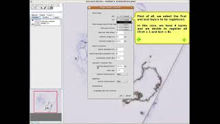 TrakEM2 AutoAlign