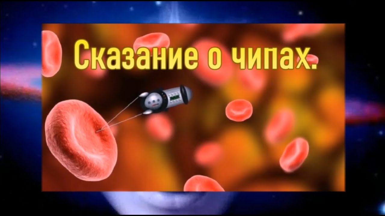 Квантовая психология в быту. Сказание о чипах (В.Ю.Миронова) - YouTube