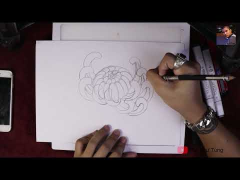 Vẽ hoa đại cúc phong cách nhật cổ - draw chrysanthemum - japantattoo Vẽ hoa đại cúc phong cách nhật cổ - draw chrysanthemum - japantattoo