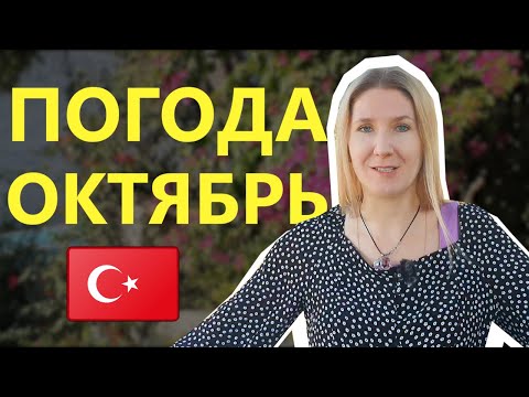 Какая погода в