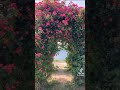 اهلا بهطله اهلا اهلا بهالعين الكحله 