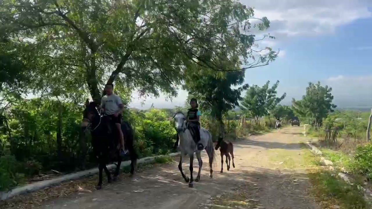 Los solares donde se hacían los teteos épicos villa González 