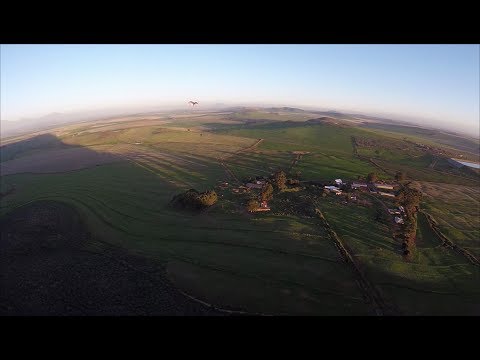 SpeedBase - Low Speedwing Cut Away