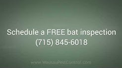 Wausau Bat Removal by Prompt Action (715) 845-6018 