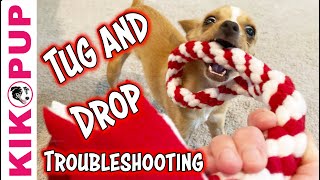 TROUBLESHOOTING for training a dog to DROP a TOY