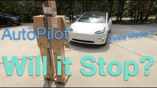 Will Tesla Stop For a Person ? #model3