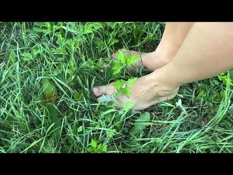 Treat yourself to a relaxing walk on the grass barefoot 🦶