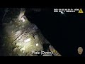 LAPD K9 Pursuit After Stolen Car Chase!