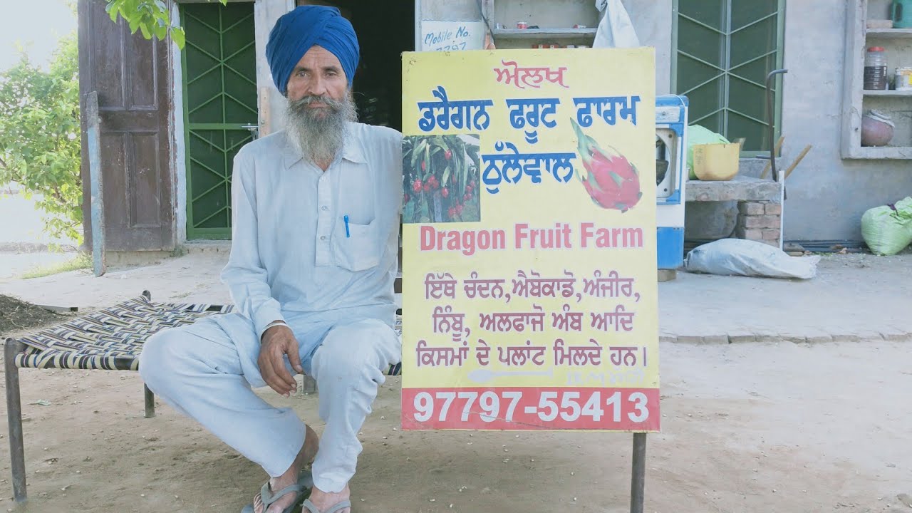 ਚੰਦਨ ਦੀ ਖੇਤੀ । Chandan ki kheti । ਹਰਬੰਤ ਸਿੰਘ । Panjaab Paidavar । Sukhi Shergill । Thulewal