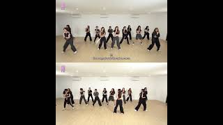 Borderless Dance Practice Vs Swap Position Challenge