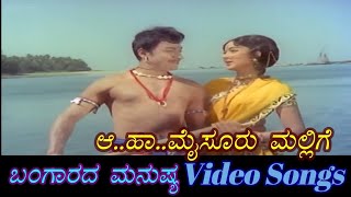 Bangaarada manushya kannada movie super hit song, Dr Rajkumar, Bharati vishnuvardhana, aa haa mysuru