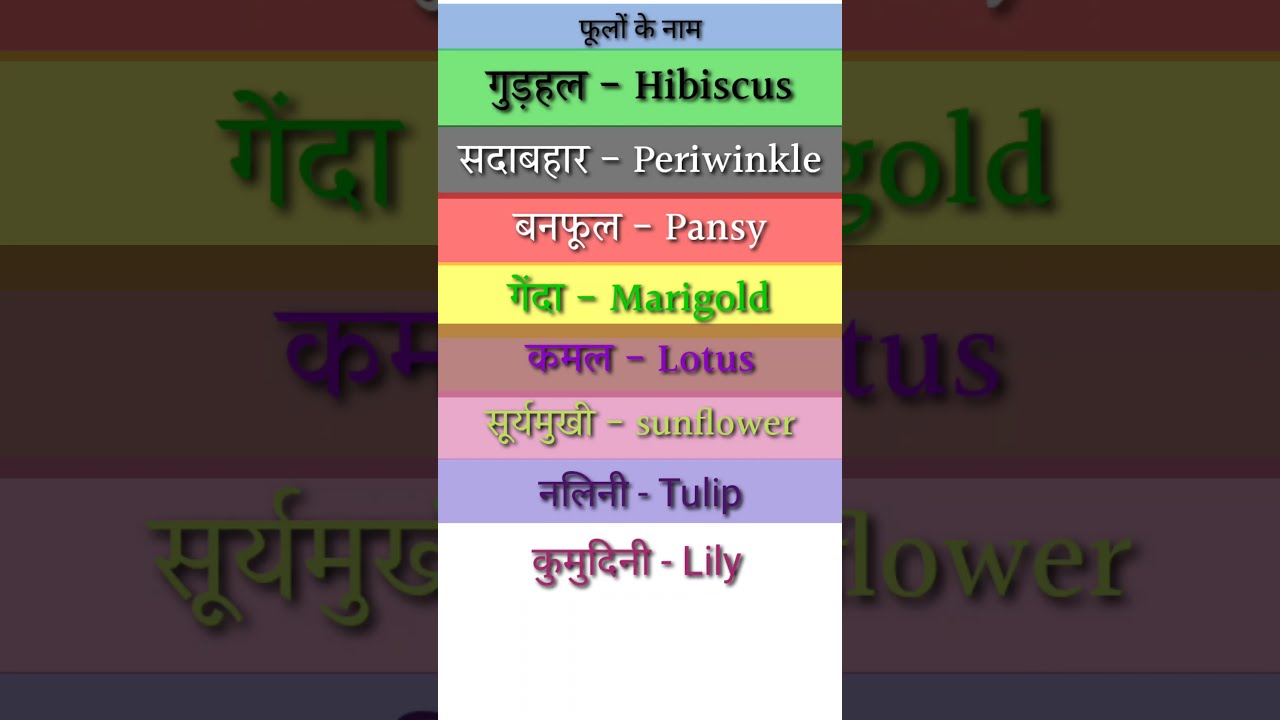 Flower Name in English & Hindi Meaning  