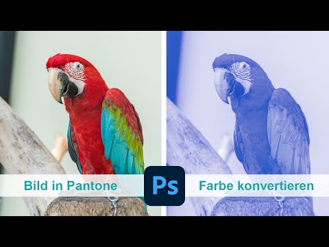Bild in Pantone Farbe konvertieren - Adobe Photoshop