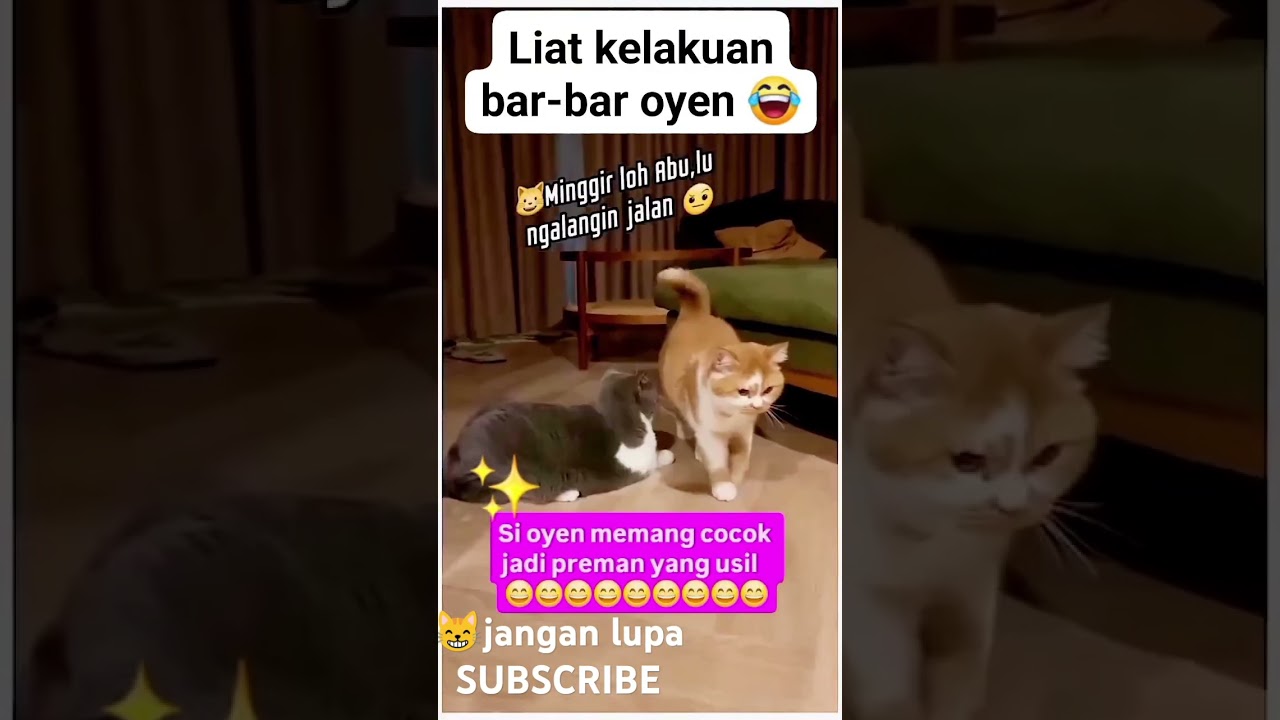POV Ketika Oren jadi preman ini yang terjadi 