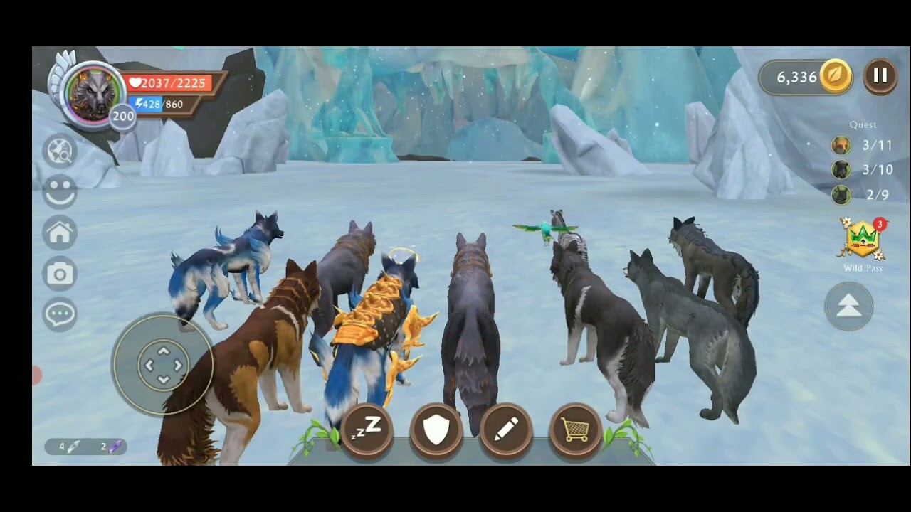 Wildcraft wolf quest YouTube