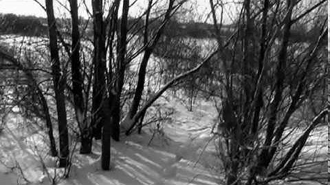 The Prodigy - Run with The Wolves. 2010 music video competition entry