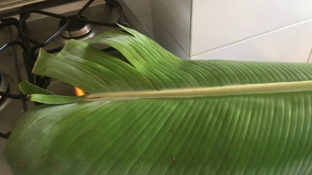 Como preparar las hojas de las hallacas YouTube