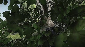 Extract campers shoreline