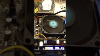 Отчет о работоспособности 231 ASUS P7H55-M LX +  G6950