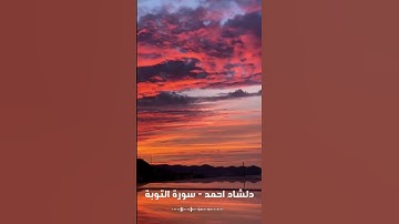 اجمل تلاوة من سورة التوبة للقارئ دلشاد احمد