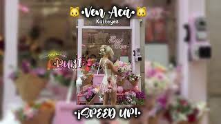 ven Ac Katteyesspeed Upsalo Pliss