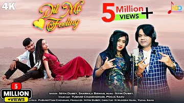 Dil Ma Feeling | दिल मा फीलिंग | Nitin Dubey, Sharmila Biswas | Tushar, Pooja | New Cg Song 2023