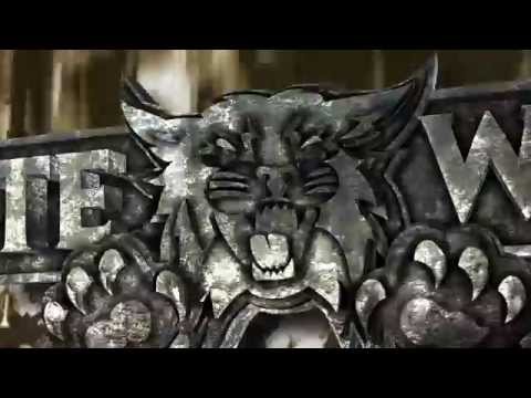 Welcome to Wildcat