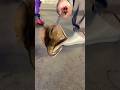 Catch of the day #fishing #fishingvideo #fish #stringray #mackerelfish #oceanlife #fun #bassfishing