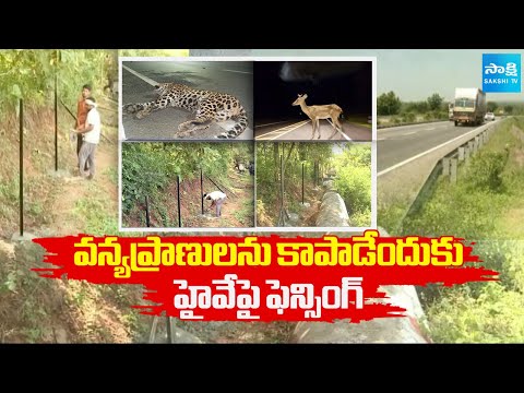 Sakshi Ground Report : Fencing Along Highway Near Forest for Wildlife Protection | Sakshi TV - SAKSHITV