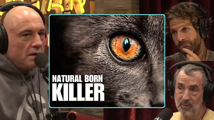 You Won’t Believe How Deadly Your Cat Really Is “They Are Killing Machines” | Joe Rogan
