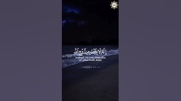 سورة يوسف قارئ الشيخ / خالد الجليل