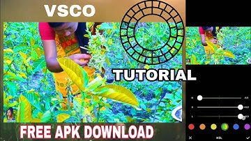 VSCO PICTURE VIDEO COLOUR EDITING | FREE DOWNLOAD