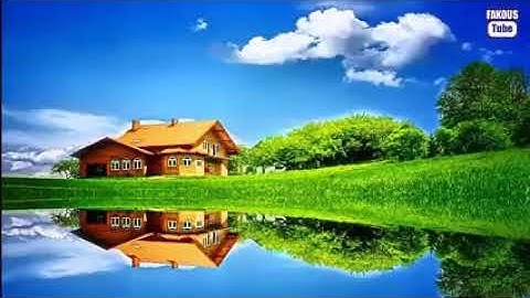 الشيخ مؤيد المزين في اجمل تلاوة ممكن تسمعها