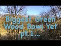 Biggest Green Wood Bowl On The Lathe Yet, Giant Spalted Sycamore Ornamental Bowl Part 1 Biggest Green Wood Bowl On The Lathe Yet, Giant Spalted Sycamore Ornamental Bowl Part 1