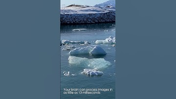 Mind-Blowing Fact: Your brain can process images in as little as 13 m...