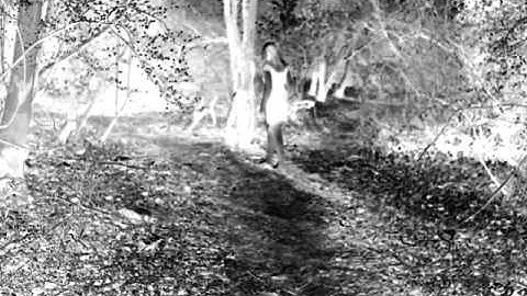 A2 Music Video - Bonobo "Recurring"