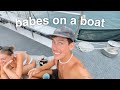 we lived on a boat? christmas in paradise + finding wild koalas