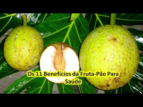 Os 11 Benefícios da Fruta-Pão Para Saúde