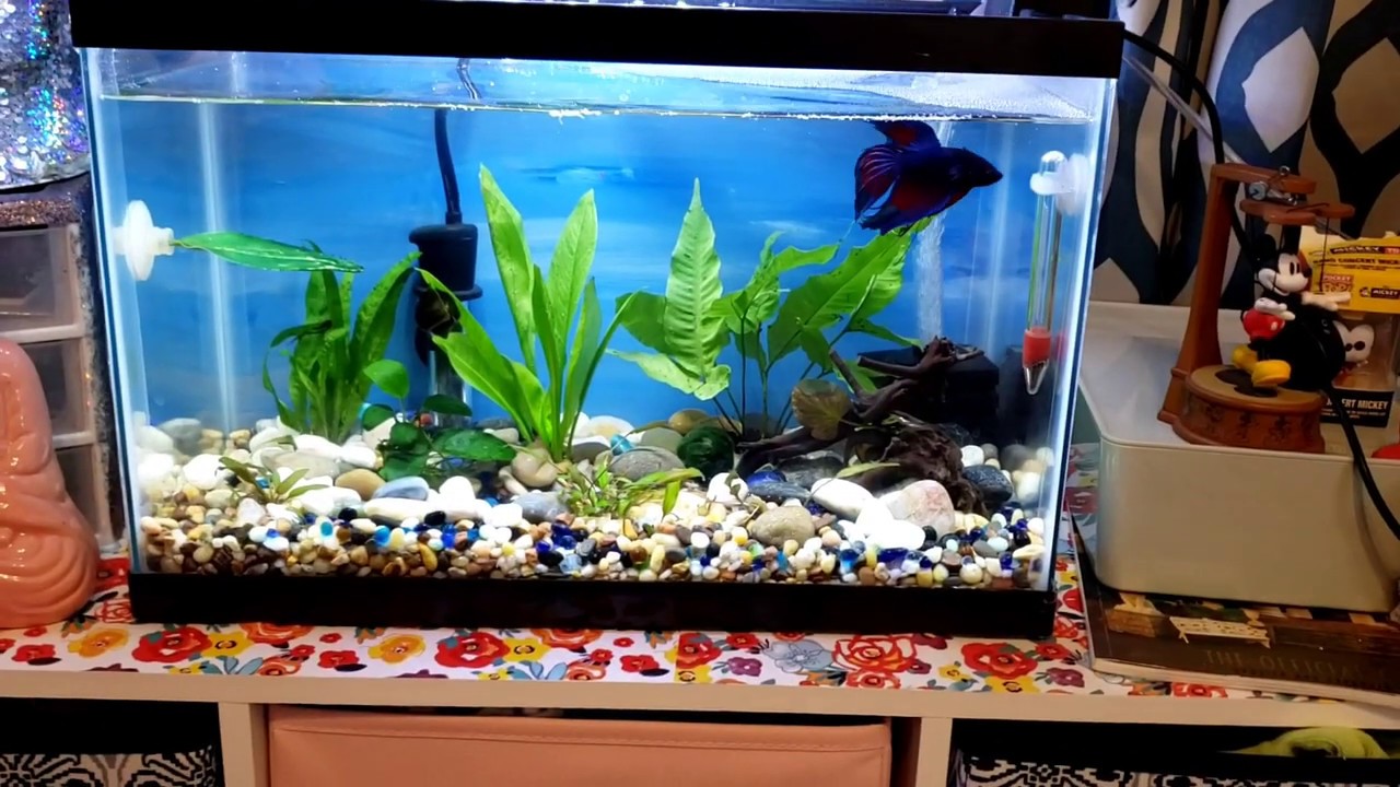Small aquarium light YouTube