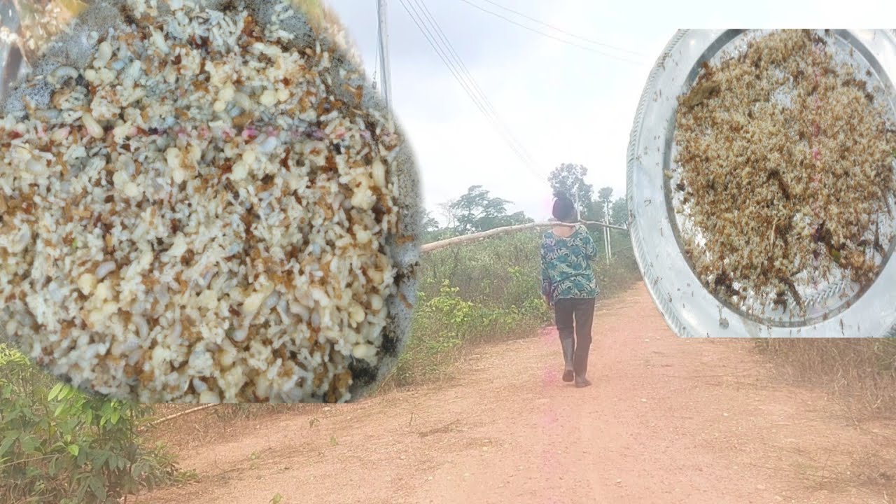 หาอาหารตาม ฤดูกาล 28 กุมภาพันธ์ ค.ศ. 2026