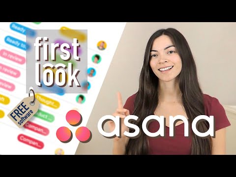 Asana  Projektmanagement Tool | first look @ free software