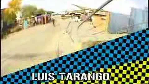 Tarango Fully Flared