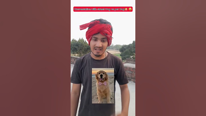 Conversation with street Dog vs pet Dog 🐶 😅 #shorts #funny #indian #relatable #shortvideo #sortfeed